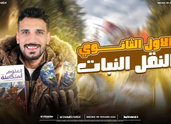 النقل النبات.jpg